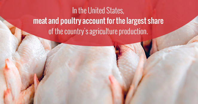 US Meat and Poultry Industry Statistics