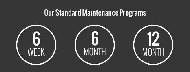 Displays 6 week, 6 month, and 12 month in circles.