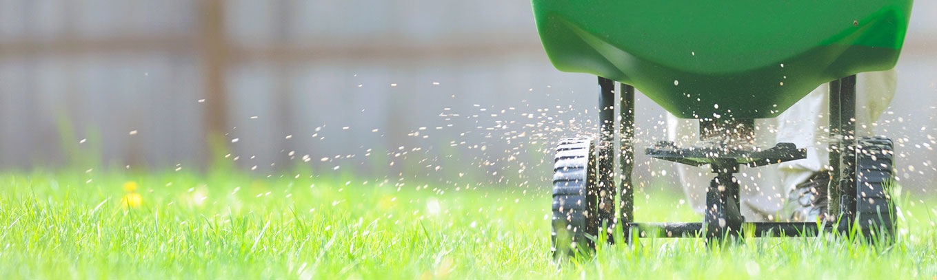Fertilizers and Lawn Care